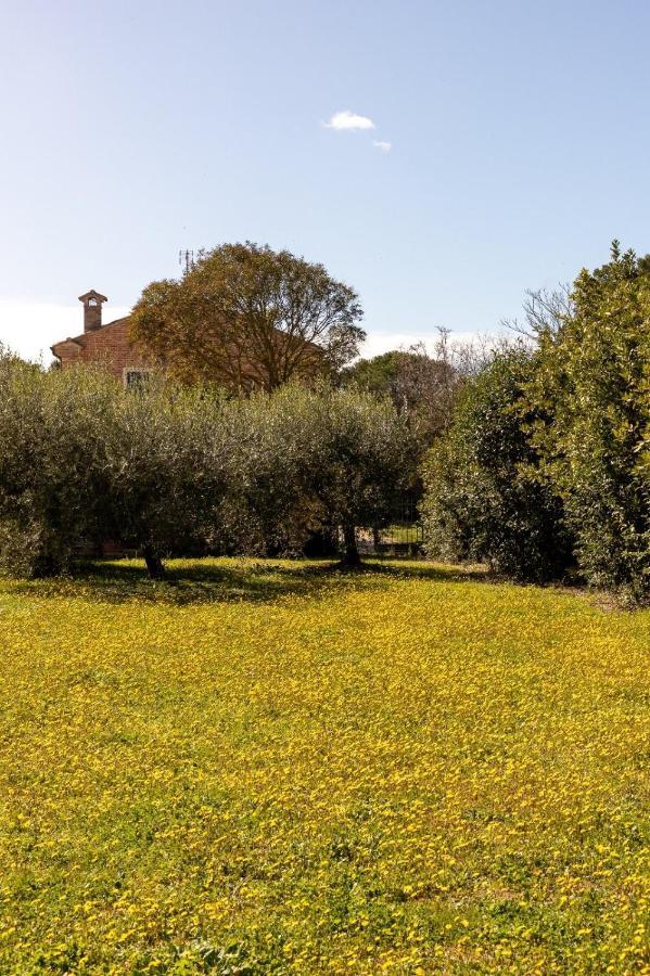 Villa Martina Fano Exteriér fotografie